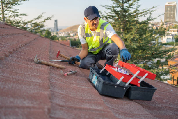 Best Hoarding Cleanup  in South Bay, FL